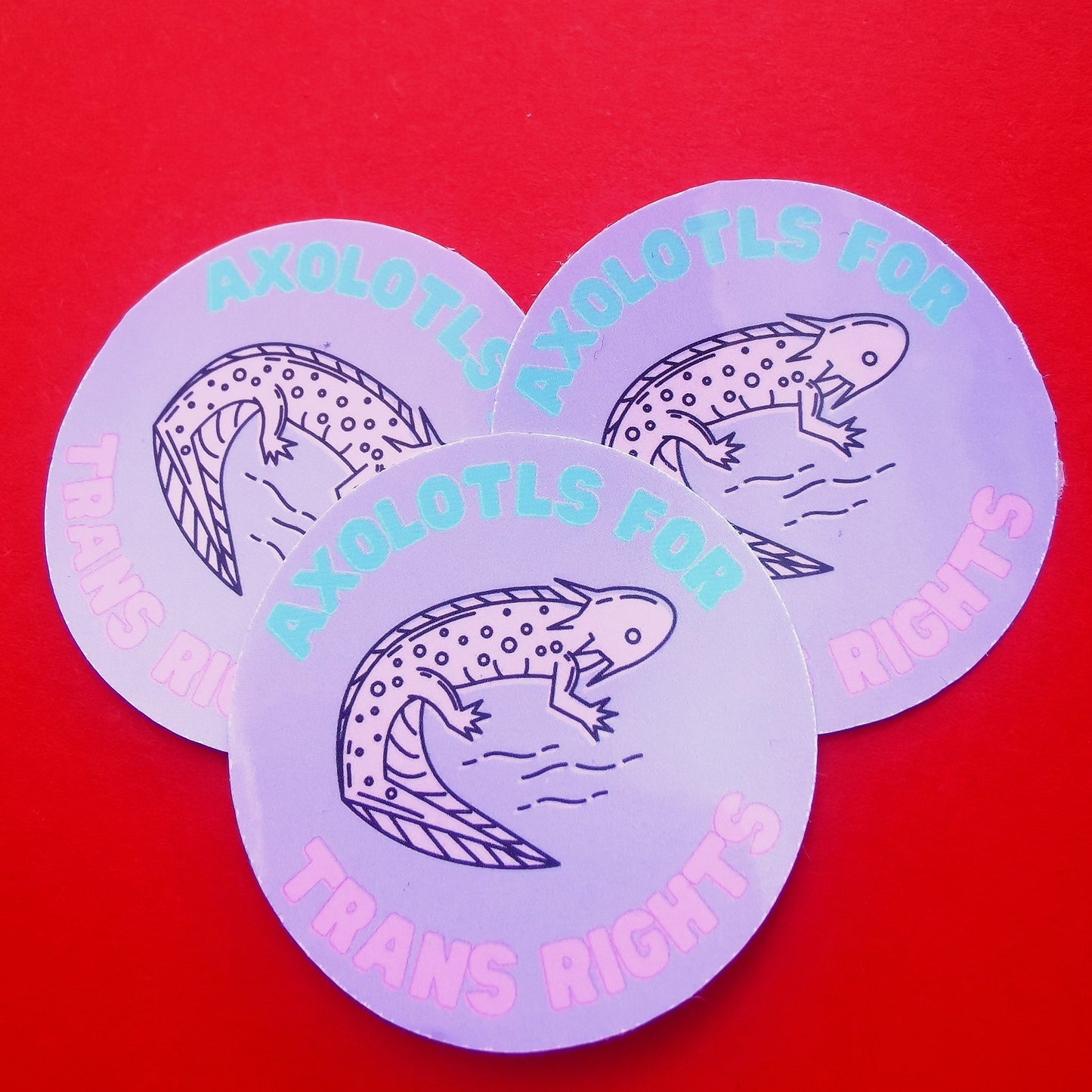 Axolotls for Trans Rights Sticker